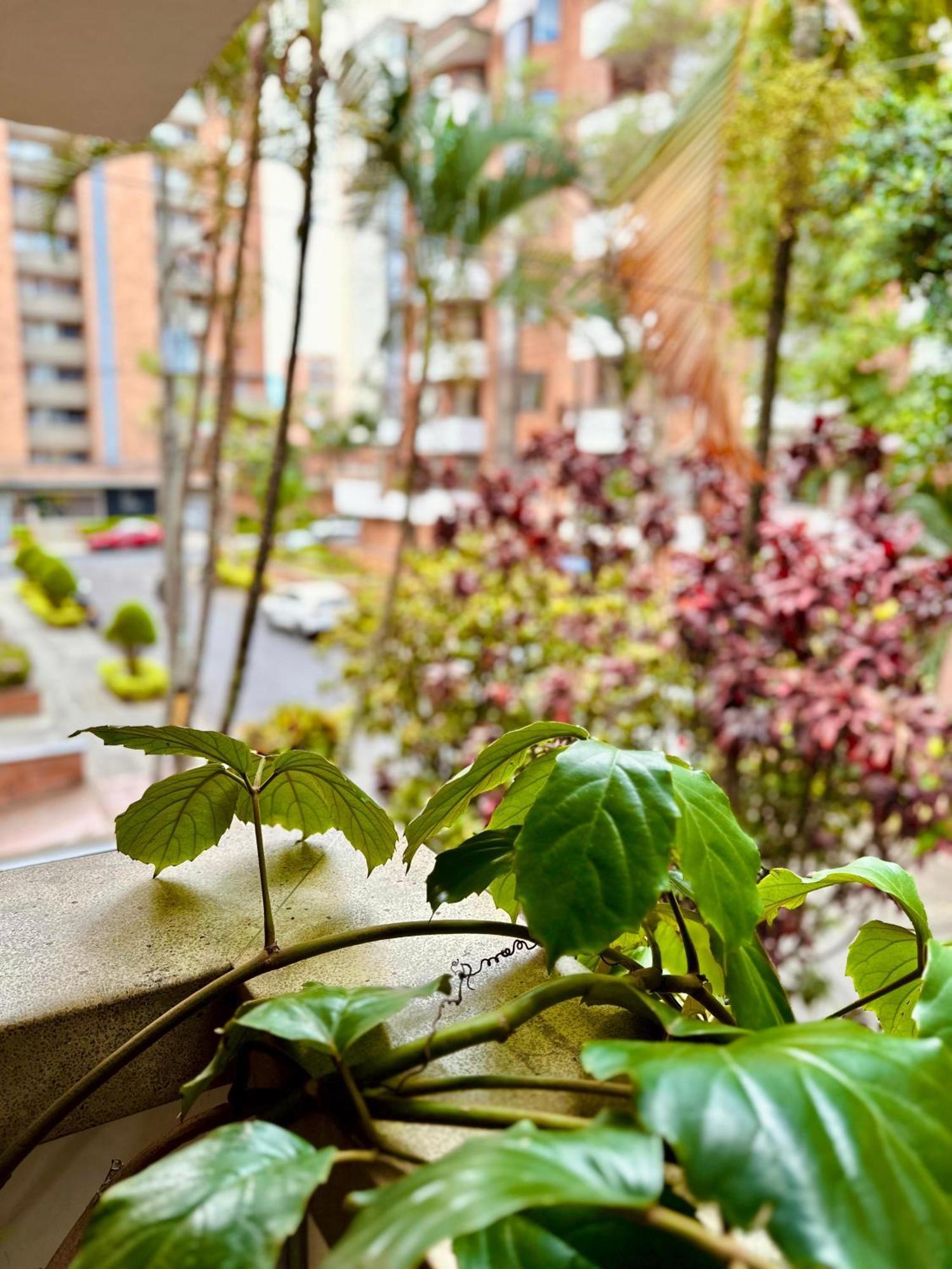 Apartahotel Fiorentina Boutique Medellín Esterno foto